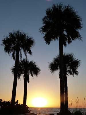 Sun-down-1