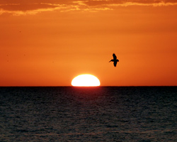 Sun-down-4