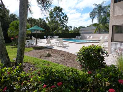 Pool-2
